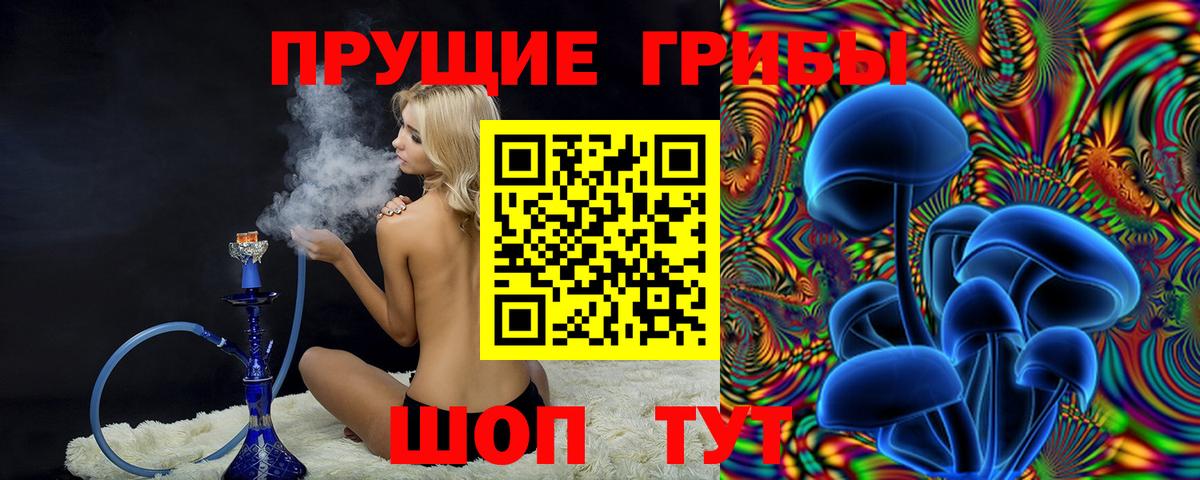Псилоцибиновые грибы мухоморы  Вход с VPN  Нальчик 