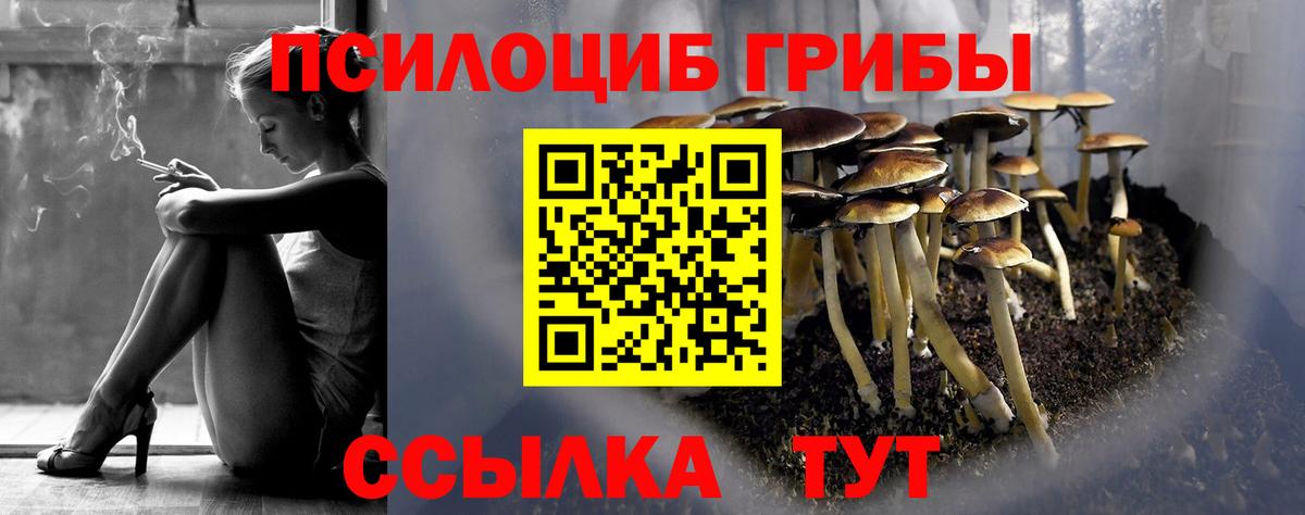 Галлюциногенные грибы ЛСД Нальчик